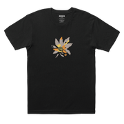 FLORA SS