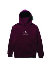 STANCE ESTABLISHED HOODIE