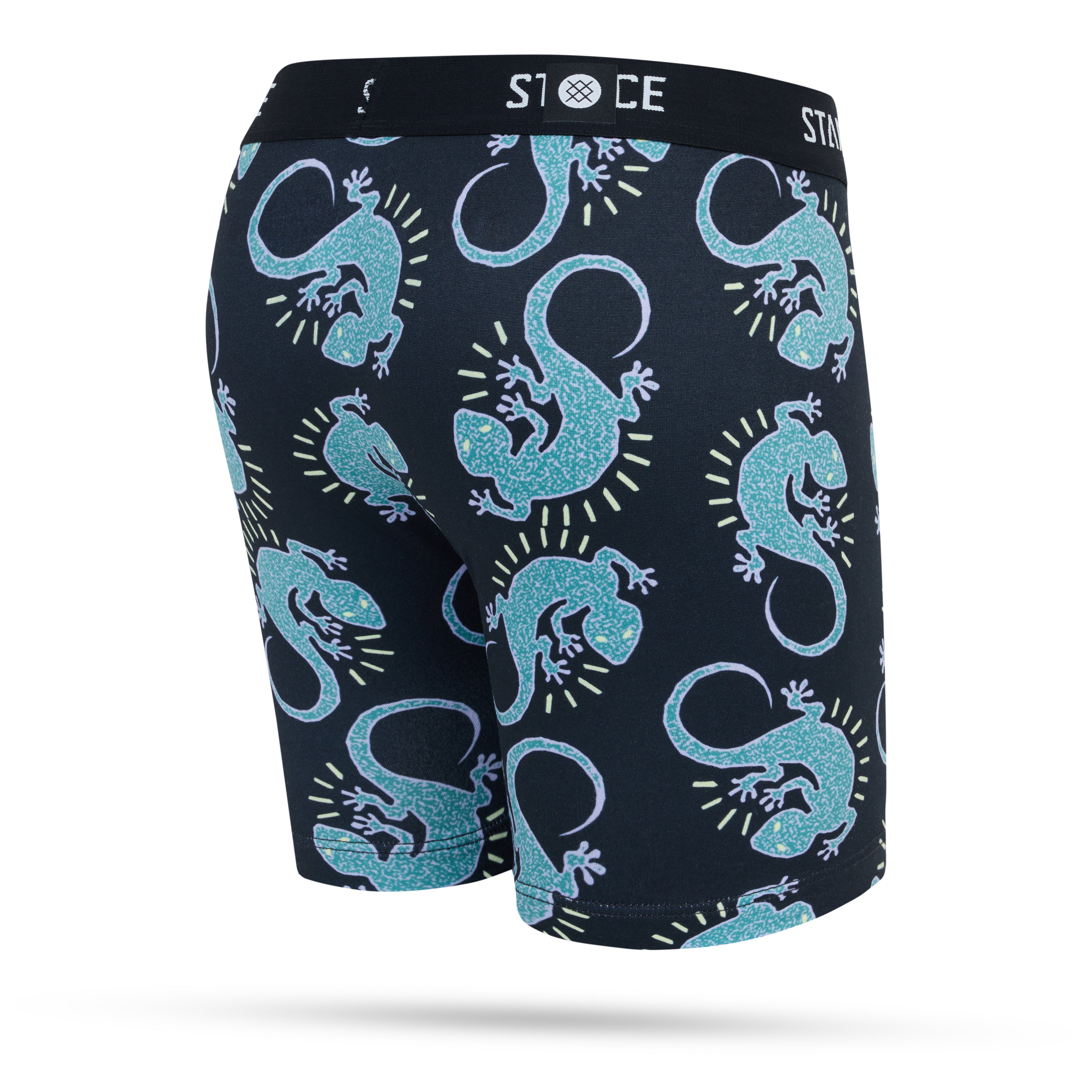 Boys Gecko Boxer Brief