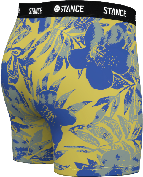 BOYS LIHUE 2 BOXER BRIEF