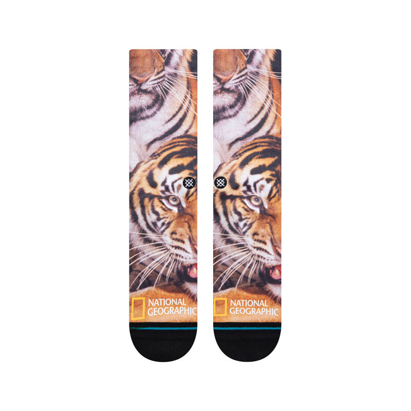 TWO TIGERS | A555A22TWO | BLACK | L image number 1