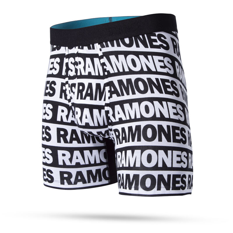 THE RAMONES WHOLESTER image number 0