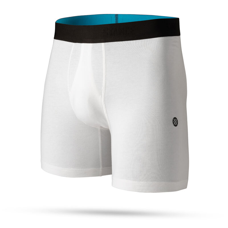 Standard Staple 6 Inch Wholester™ Underwear | Stance