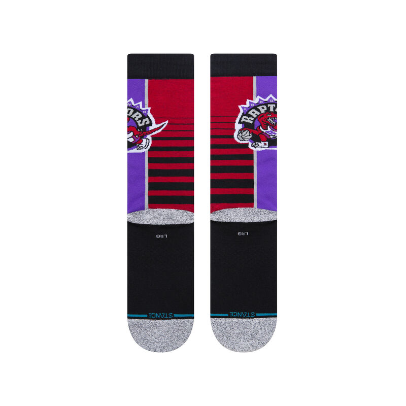 RAPTORS GRADIENT image number 2