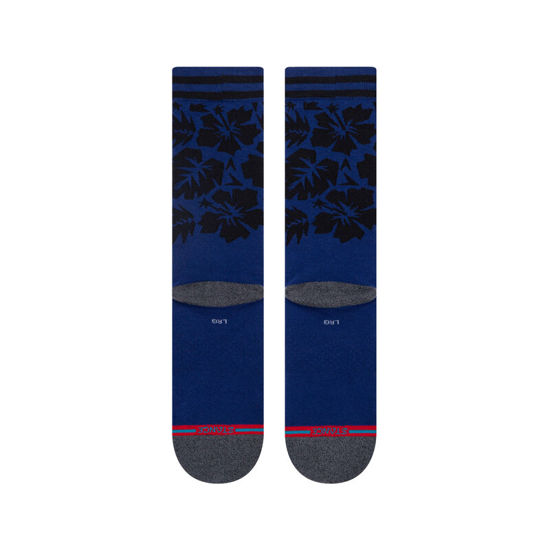 TROPICAL WARBIRD image number 2